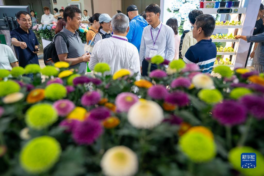fg棋牌平台